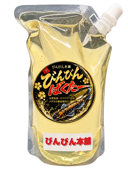びんびんばくたー