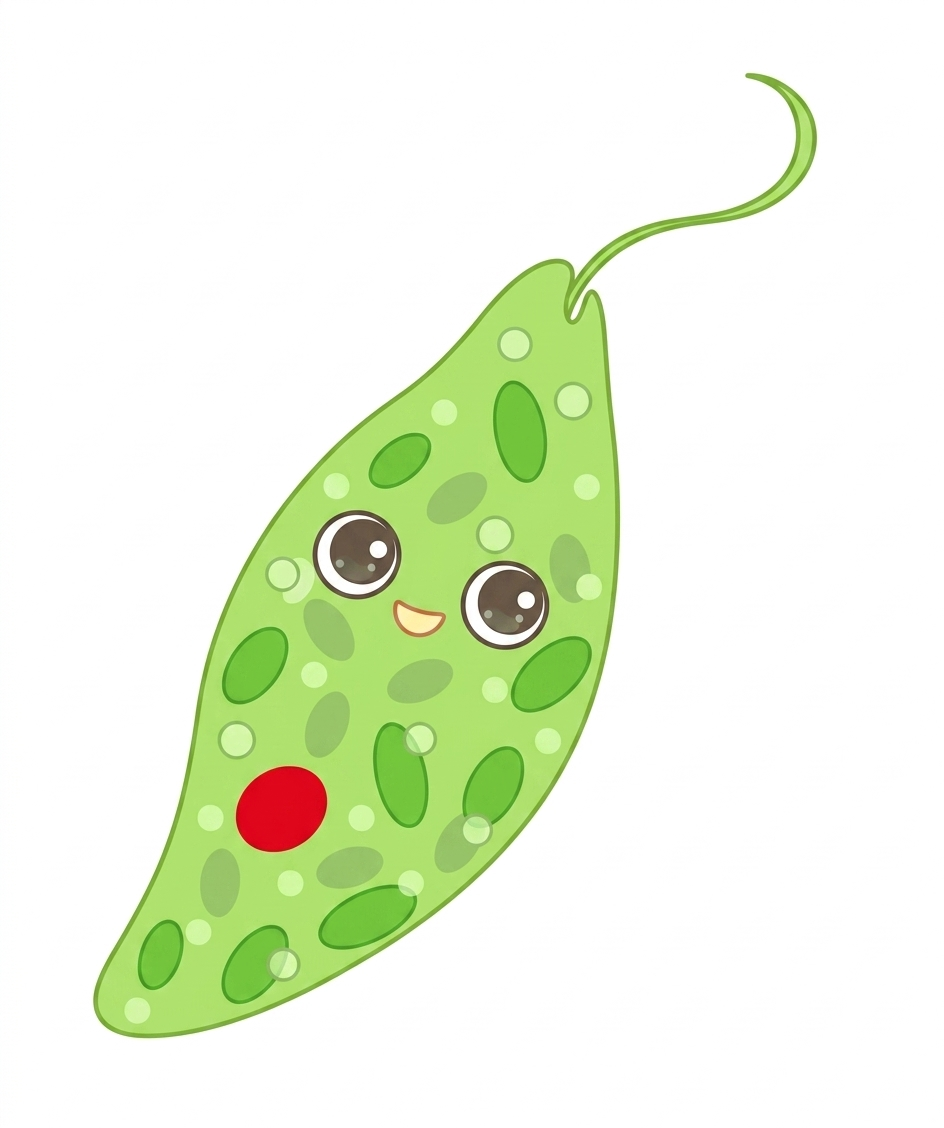 業界初ユーグレナ配合